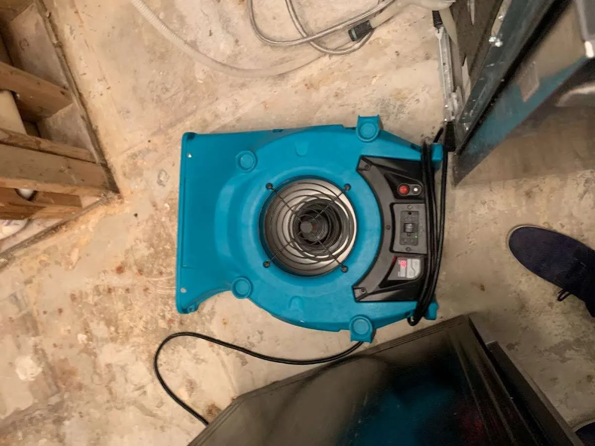 Air mover drying equipment for Mold Remediation & Removal in Dixon